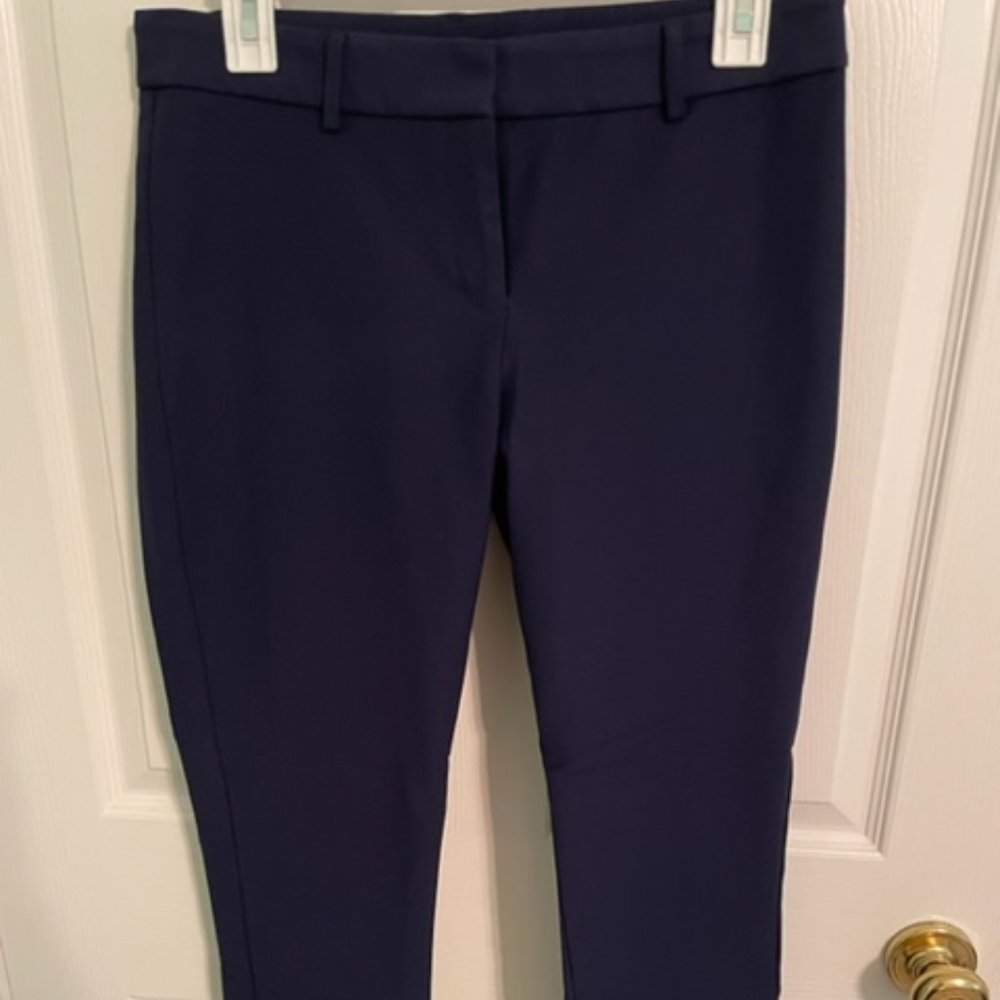 Express Dress Pants